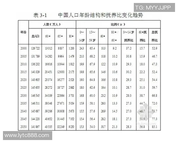 深入探讨北京篮球队实力表现的数据分析与趋势解读