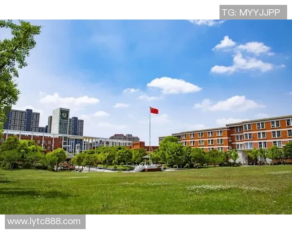 南京飞盘队防反战术创新探索与实践全景分析