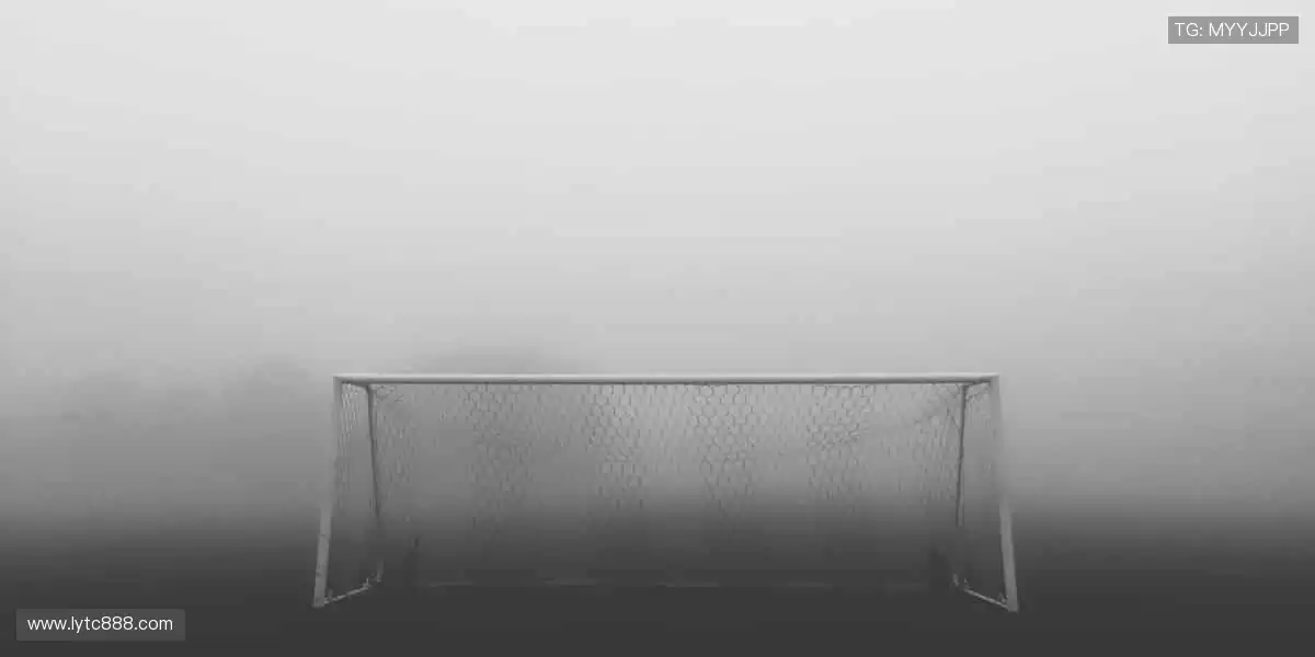 赛事燃爆，每一刻都值得铭记！⚽🏀